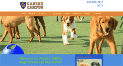 Desktop Screenshot of caninecampusdaycare.com