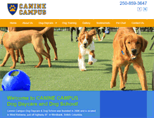 Tablet Screenshot of caninecampusdaycare.com